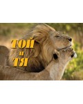 Той и Тя (Колекция от знания)