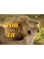 Той и Тя (Колекция от знания)