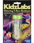 Творчески комплект 4M KidzLabs - Скелет на динозавър Ти-Рекс, светещ