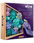 Творчески комплект с моделин Okto - Декорация със сукуленти, нежност