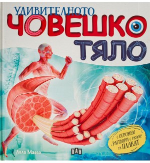 Удивителното човешко тяло (Пан)