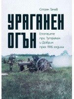 Ураганен огън. Епопеите при Тутракан и Добрич през 1916 г.