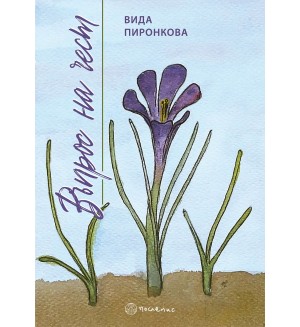 Въпрос на чест