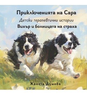 Вихър и болницата на страха (Приключенията на Сара)
