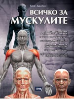 Всичко за мускулите