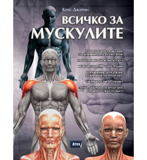 Всичко за мускулите