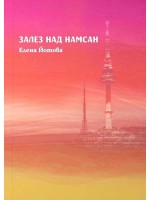 Залез над Намсан