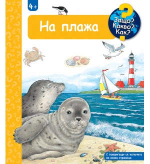 Защо? Какво? Как?: Енциклопедия за деца над 4 години: На плажа
