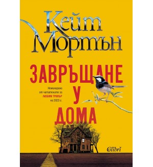 Завръщане у дома