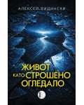 Живот като строшено огледало