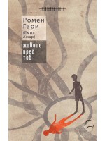 Животът пред теб Животът пред теб