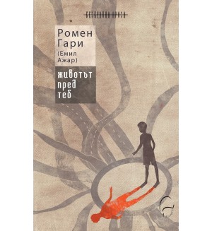 Животът пред теб Животът пред теб